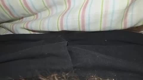 Snapshot of niterider22 chatting on March 14, 2026, 1:23 am niterider22 online show from March 14, 2026, 1:23 am