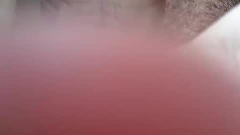 nkdarg online show from March 7, 2026, 1:46 am