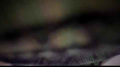 Tears Lora online show from February 25, 2025, 5:08 am