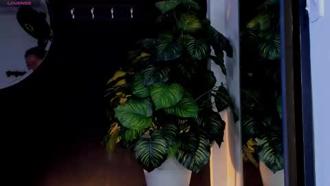 Noah  online show from March 25, 2026, 3:23 am