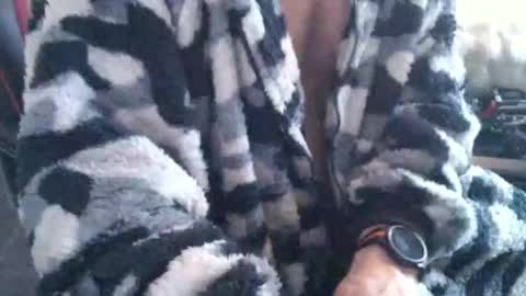 Boingyyyy online show from December 14, 2025, 2:44 pm