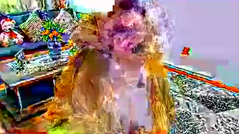 Snapshot of noraj66 chatting on March 23, 2026, 1:59 pm noraj66 online show from March 23, 2026, 1:59 pm