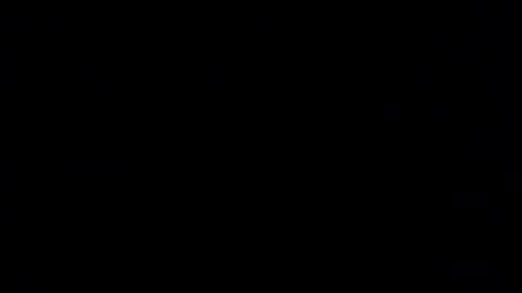 not face online show from December 2, 2025, 3:23 am