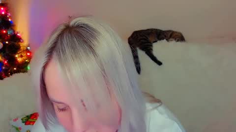 Snapshot of not_nakedcat chatting on December 18, 2024, 7:52 pm hi glad to chat online show from December 18, 2024, 7:52 pm