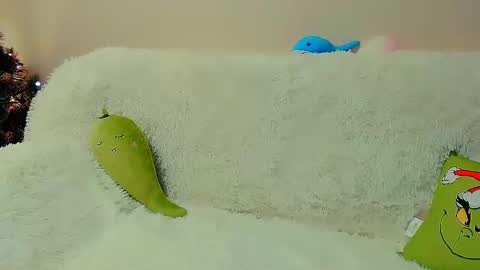 Snapshot of not_nakedcat chatting on January 7, 2025, 8:13 am hi glad to chat online show from January 7, 2025, 8:13 am