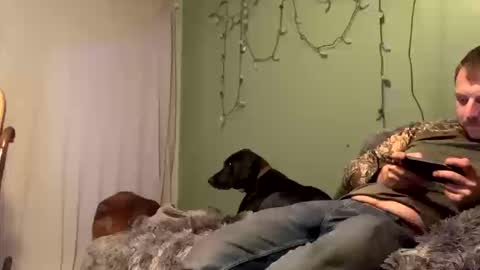 Snapshot of nsy57528 chatting on October 19, 2025, 12:00 am nsy57528 online show from October 19, 2025, 12:00 am