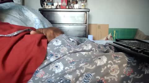 Snapshot of nyakuti chatting on December 23, 2024, 7:52 pm KN online show from December 23, 2024, 7:52 pm