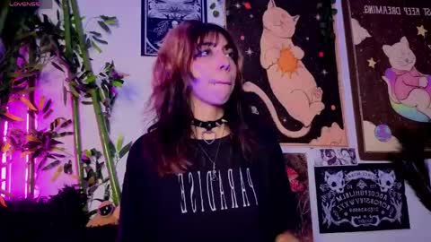   online show from March 17, 2026, 6:17 am