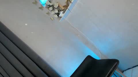 obeymycurves online show from January 11, 2026, 2:49 am