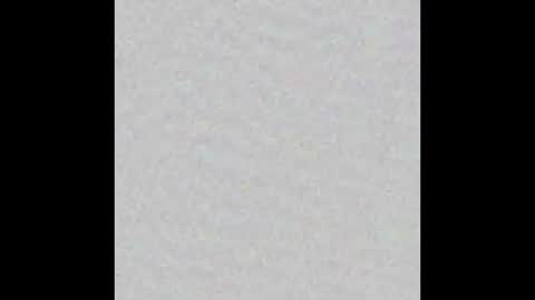 Obsidian stallion online show from November 17, 2025, 4:57 pm