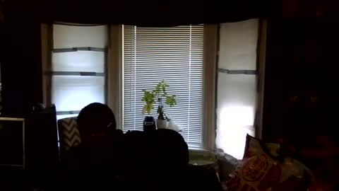 oscar flores online show from February 16, 2026, 3:08 pm