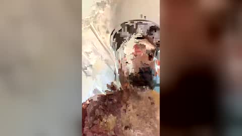 ogkftp online show from April 20, 2026, 1:58 pm