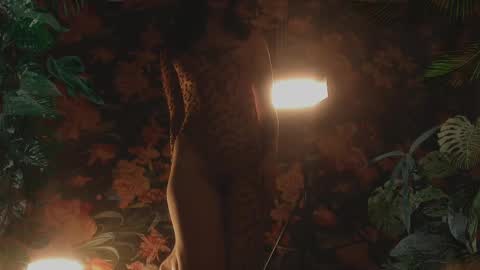 Snapshot of oh_lilith chatting on February 17, 2025, 11:09 pm your dear Lilith Chapman online show from February 17, 2025, 11:09 pm