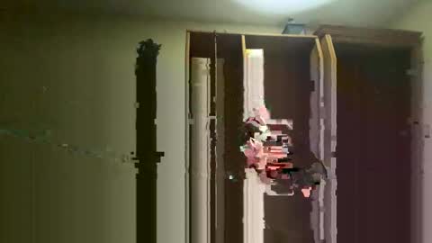 Dom online show from November 16, 2025, 7:25 am