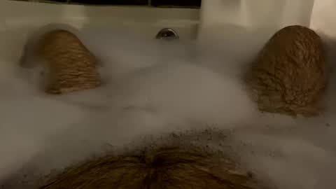 Snapshot of oldbones2 chatting on February 17, 2025, 1:36 am oldbones2 online show from February 17, 2025, 1:36 am