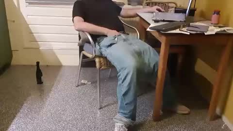 oldersagger online show from January 17, 2025, 7:05 pm