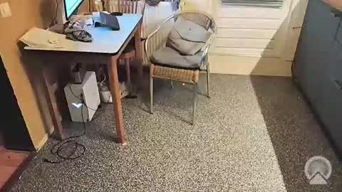 oldersagger online show from November 5, 2025, 4:18 pm