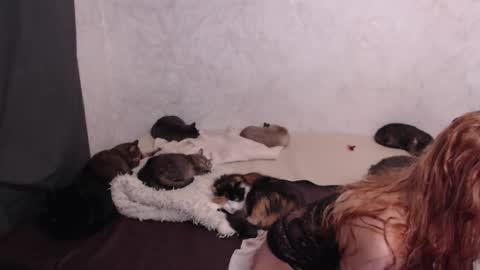 Olivia online show from January 13, 2026, 4:23 pm