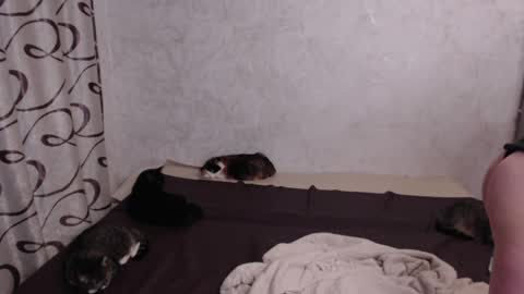 Olivia online show from May 15, 2026, 8:49 pm