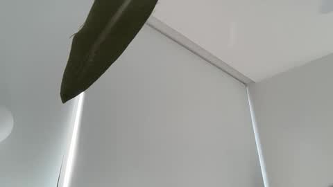 Olivia Brookes online show from December 4, 2025, 7:55 pm