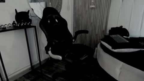     ... online show from May 19, 2026, 1:56 am