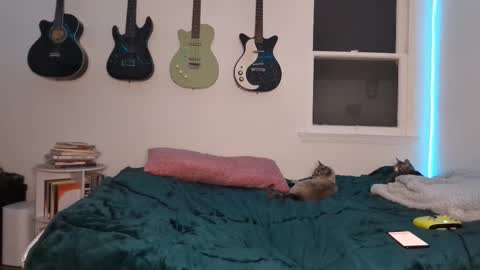 Snapshot of onlystrings chatting on March 12, 2025, 2:52 am Duo online show from March 12, 2025, 2:52 am