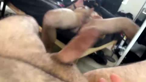 ORGYBARGY69 online show from November 14, 2025, 9:24 pm