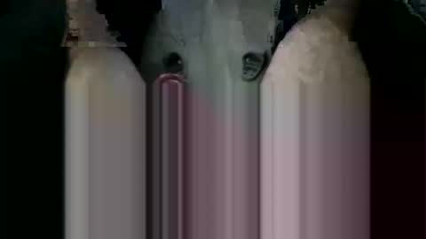 ORGYBARGY69 online show from November 19, 2025, 7:03 pm