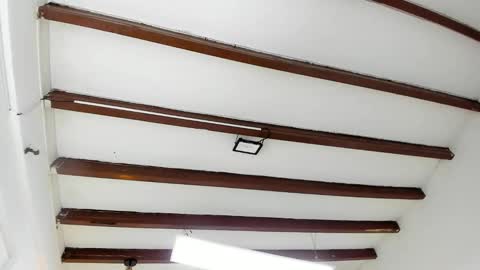 Miss Guzman  online show from February 4, 2025, 8:49 pm