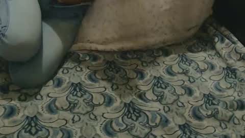 originalcali95 online show from February 3, 2026, 4:32 am