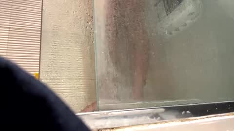 orn74 online show from December 31, 2024, 9:17 pm