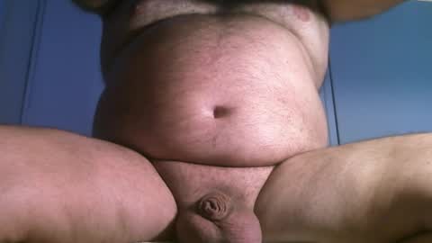 Oso Licencioso online show from March 31, 2026, 4:40 pm