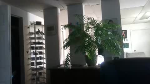 Snapshot of ouiostie chatting on December 6, 2024, 5:55 pm Vraiment la online show from December 6, 2024, 5:55 pm