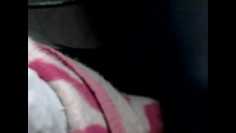 p_ro_rok online show from February 7, 2026, 2:04 am