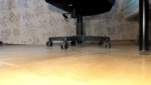 Pablo Meness online show from December 16, 2025, 2:33 pm