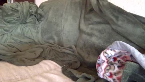 paintdude424 online show from September 26, 2025, 1:48 pm