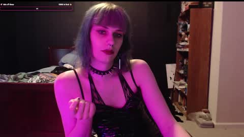 Snapshot of palaceofmalice chatting on December 27, 2024, 4:54 pm palaceofmalice online show from December 27, 2024, 4:54 pm