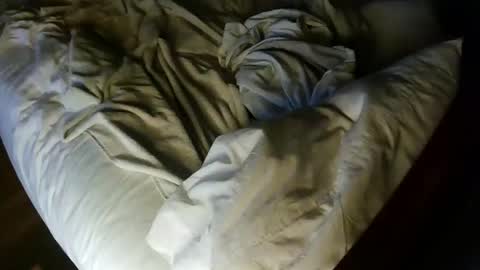 pale001zan online show from September 29, 2025, 8:08 am