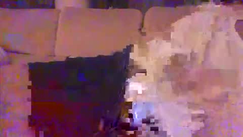 pallavolista73 online show from May 26, 2026, 2:18 am