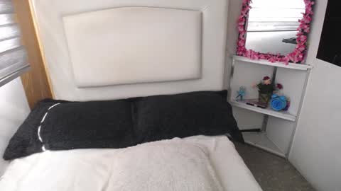 Snapshot of palmer_mix chatting on January 7, 2025, 7:49 pm Palmer online show from January 7, 2025, 7:49 pm