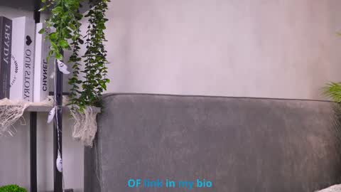 Snapshot of pamelaryant chatting on February 4, 2026, 6:52 am Diana online show from February 4, 2026, 6:52 am