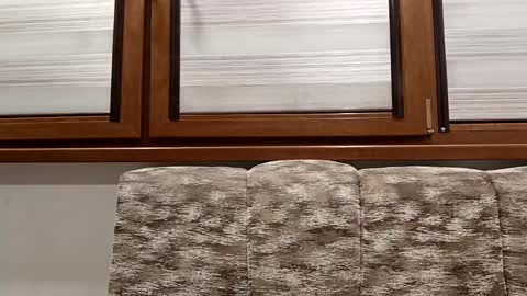 angel hris online show from January 14, 2025, 8:15 pm