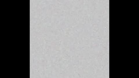 PantsLessTraveler online show from December 31, 2024, 8:02 pm