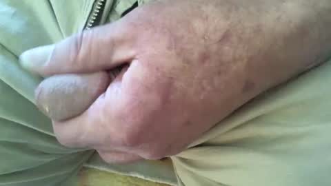 Shmoo online show from December 20, 2025, 8:49 pm