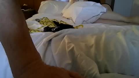 partyplaynfuc online show from March 13, 2026, 9:49 am