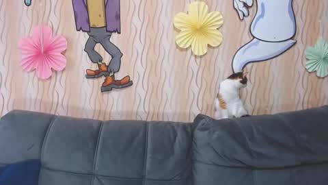 I am Lora and i am glad to see you in my room online show from October 11, 2025, 3:50 am