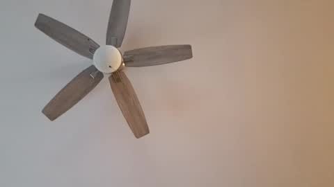 patrick247288 online show from January 12, 2025, 9:40 pm