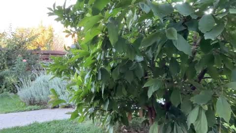 Andreea online show from September 16, 2025, 4:35 am