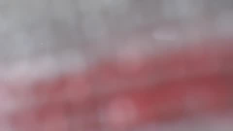 Snapshot of patty_squirt87 chatting on February 24, 2026, 3:04 am patty squirt87 online show from February 24, 2026, 3:04 am