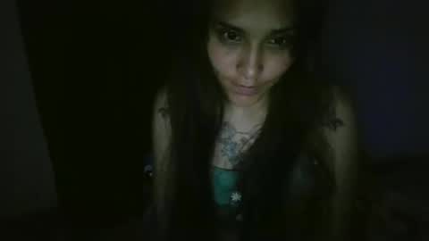 Snapshot of pau_cat chatting on May 3, 2026, 5:57 am Pau online show from May 3, 2026, 5:57 am